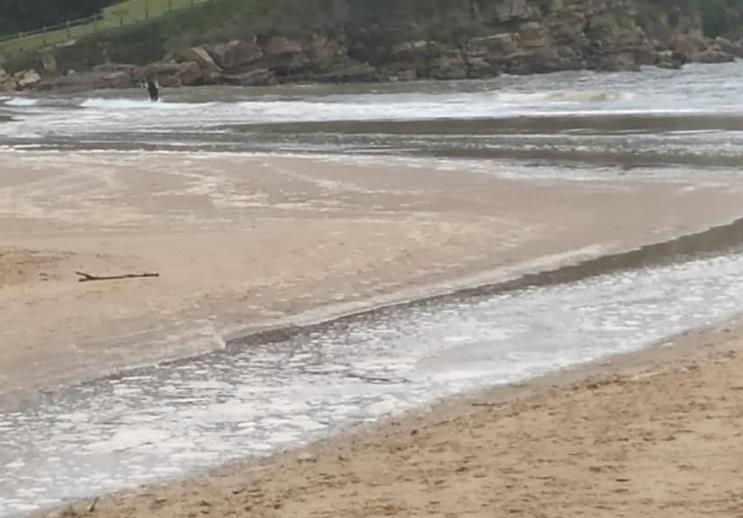 C's Suances denuncia nuevos vertidos en la playa de La Concha