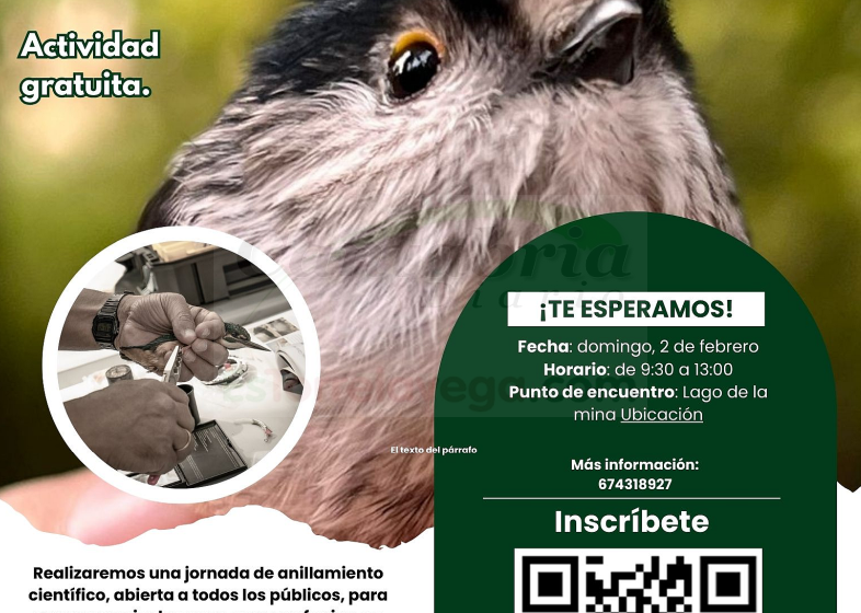 Torrelavega celebra el Día de los Humedales con una jornada de anillamiento de aves en el Lago de la Mina